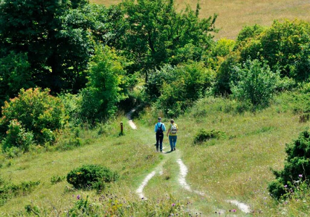 Oplev Bjerggaarden66 – En unik BnB med natur, ro og velvære